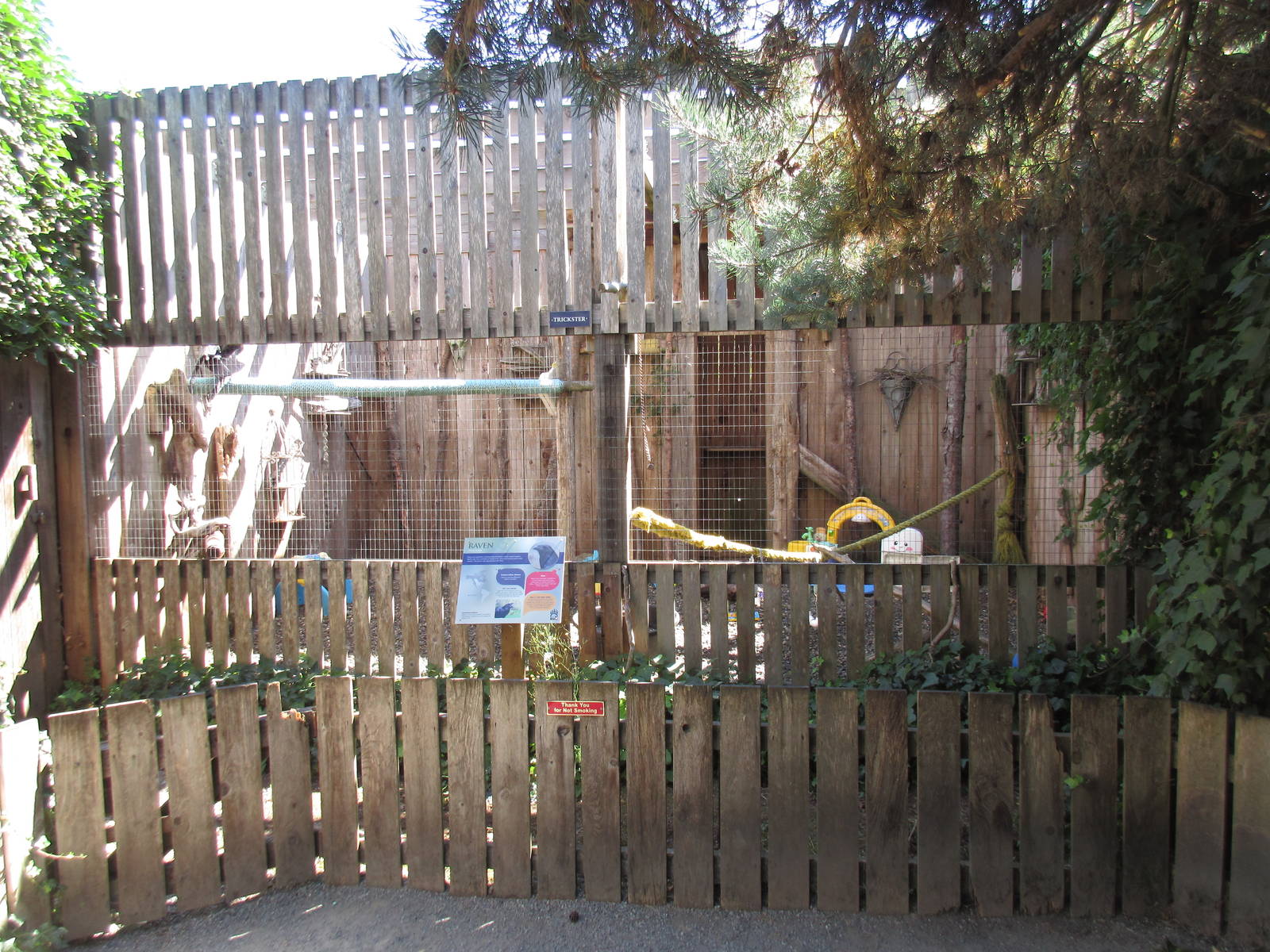 North Island Wildlife Recovery Centre - Raven Exhibit