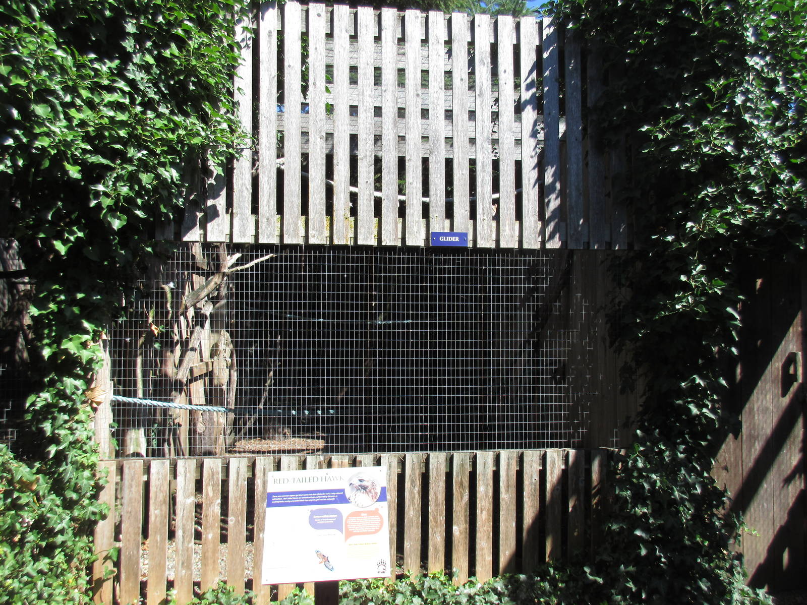 North Island Wildlife Recovery Centre - Red-Tailed Hawk Exhibit