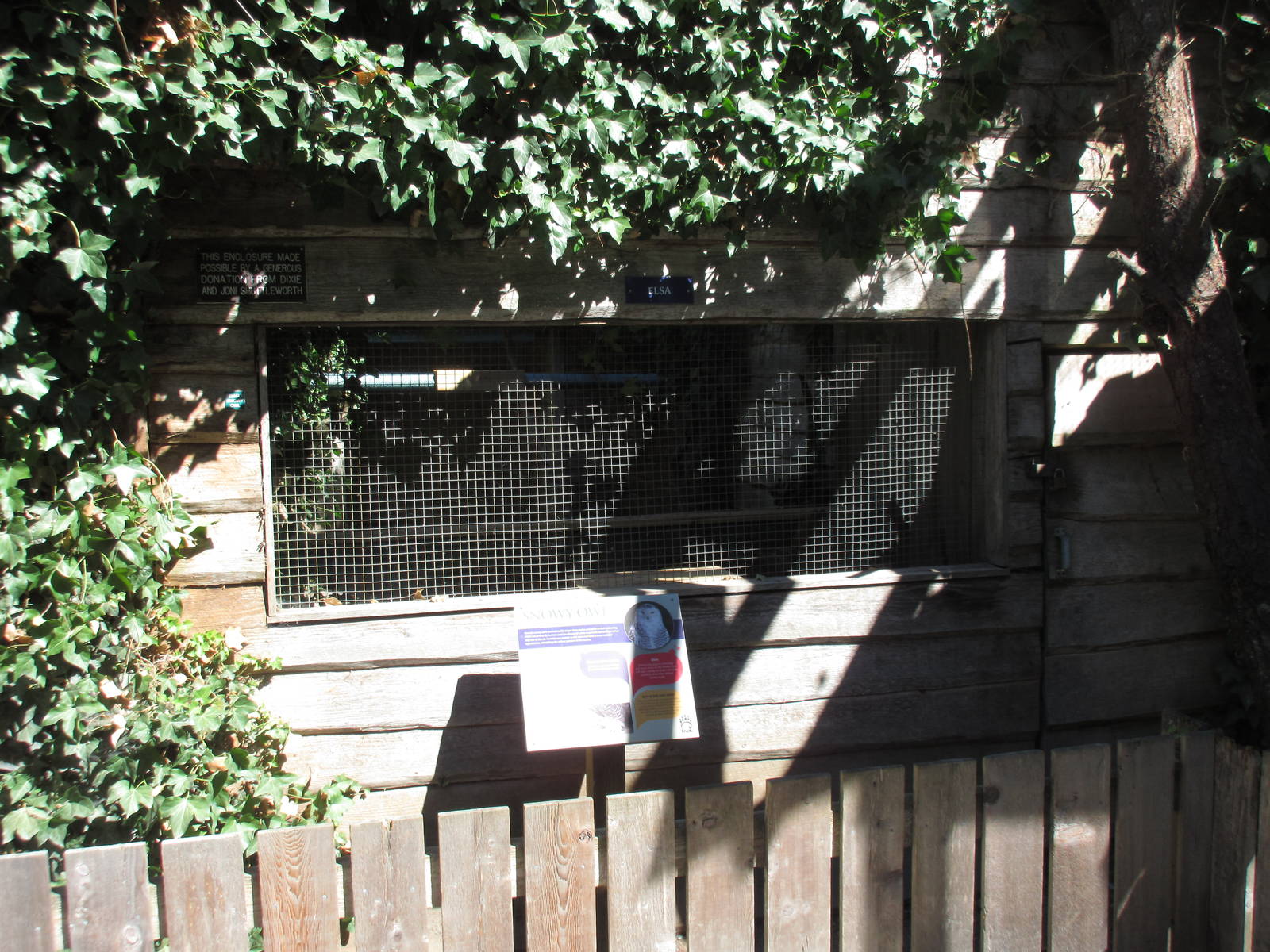 North Island Wildlife Recovery Centre - Snowy Owl Exhibit