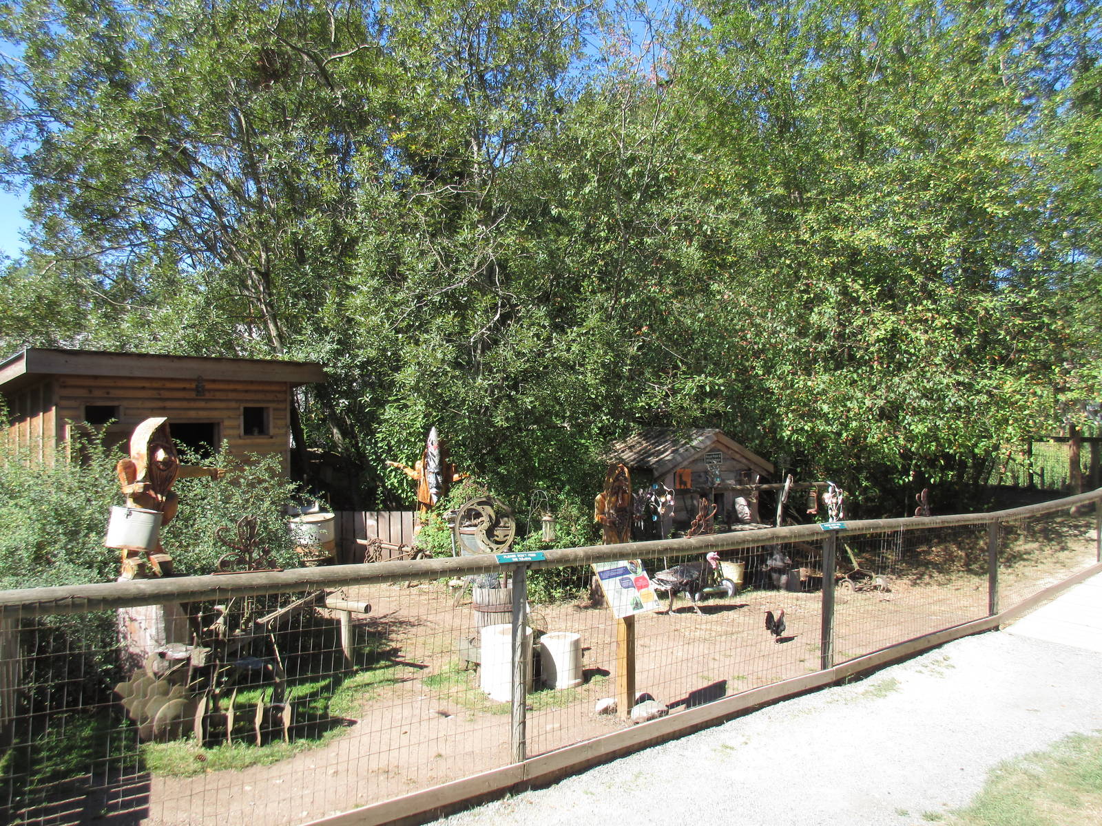 North Island Wildlife Recovery Centre - Turkey Exhibit
