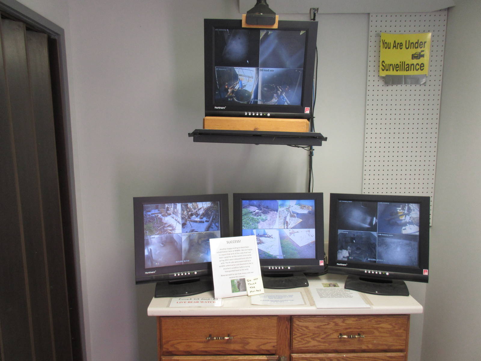 North Island Wildlife Recovery Centre - Video Monitors for American Black B
