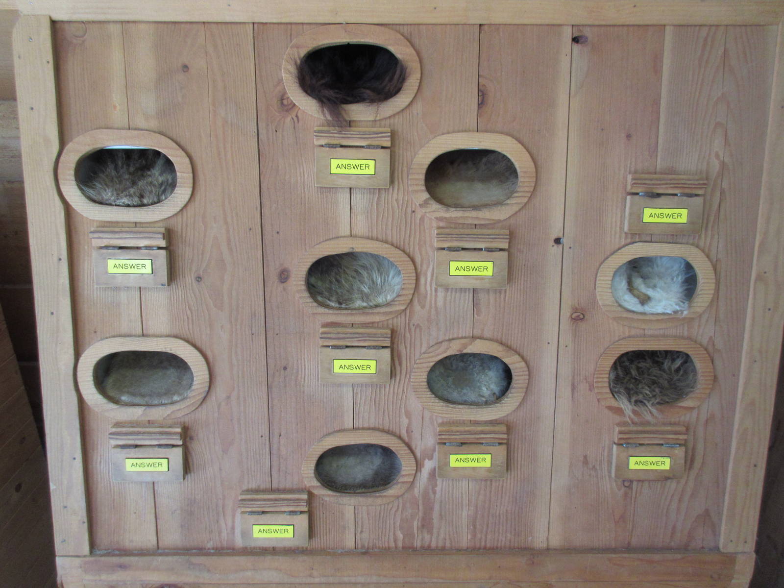 North Island Wildlife Recovery Centre - Wildlife Learning Centre (Fur)