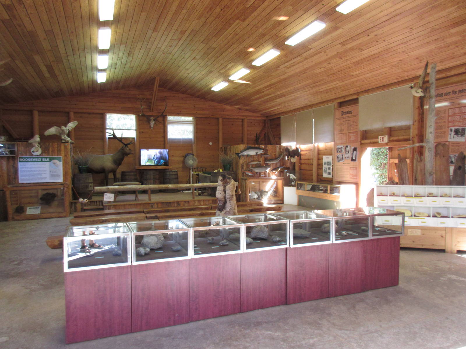 North Island Wildlife Recovery Centre - Wildlife Learning Centre