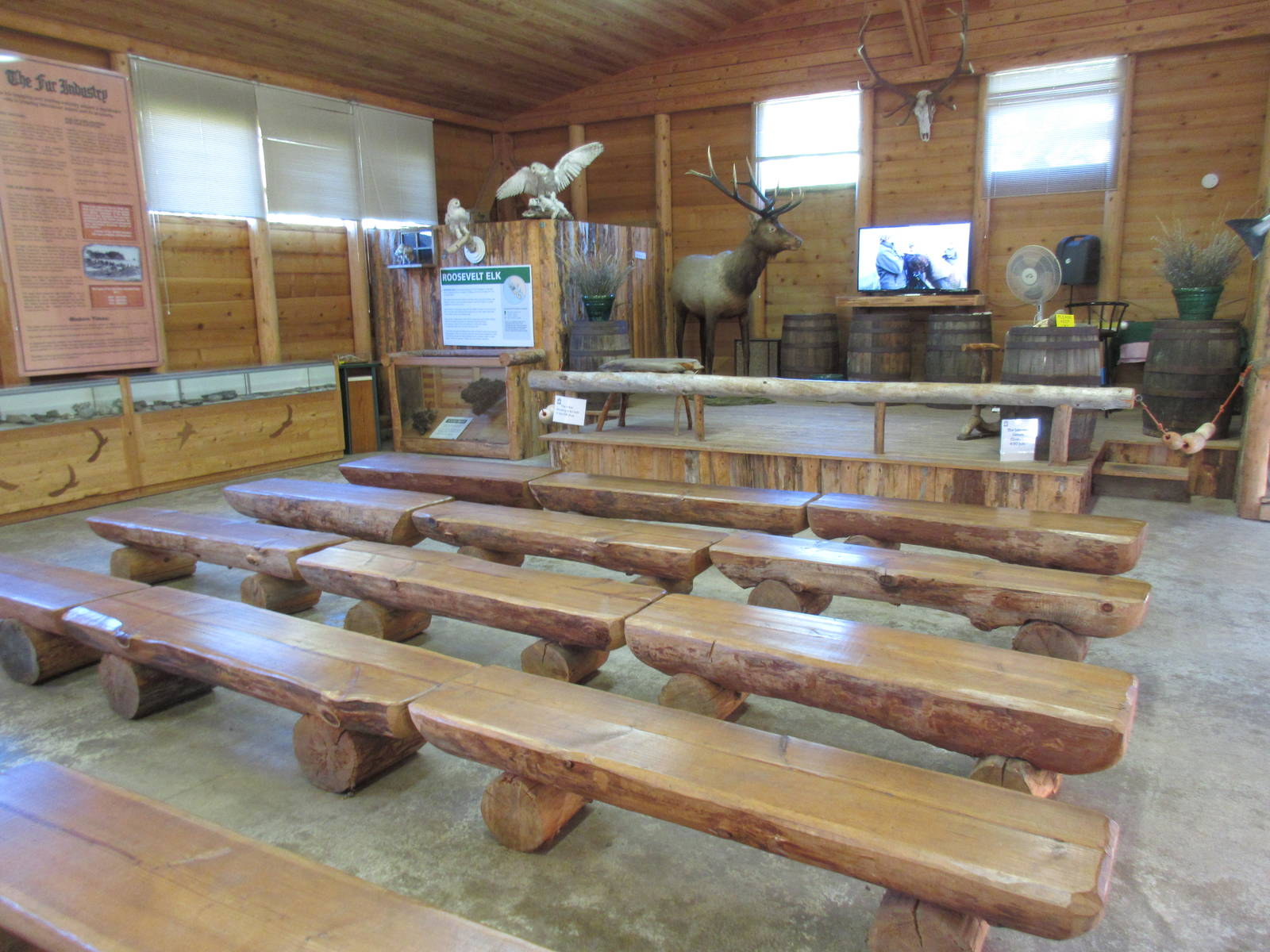 North Island Wildlife Recovery Centre - Wildlife Learning Centre