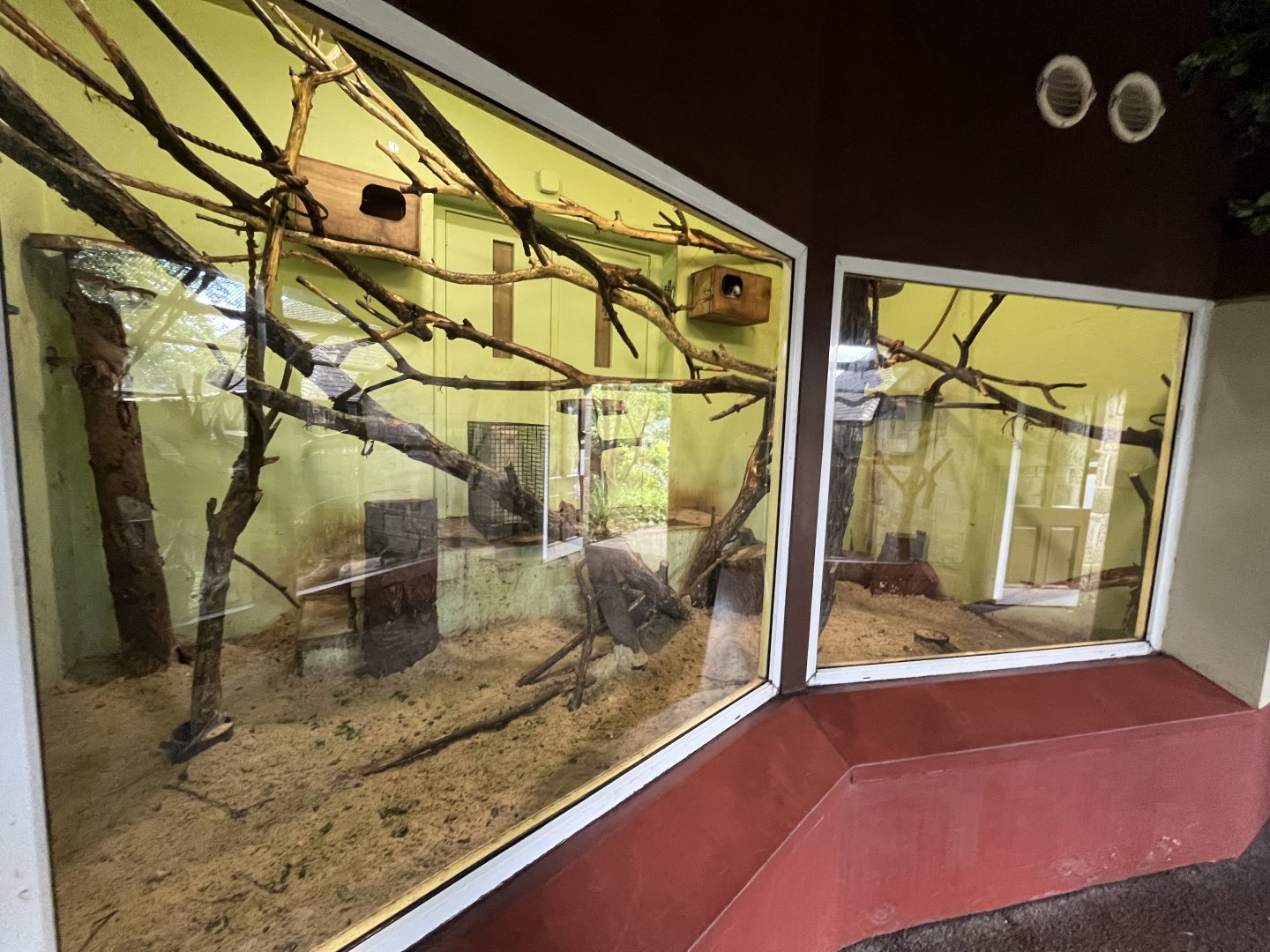 North luzon giant cloud rat enclosure (0.5 version) 8.6.24