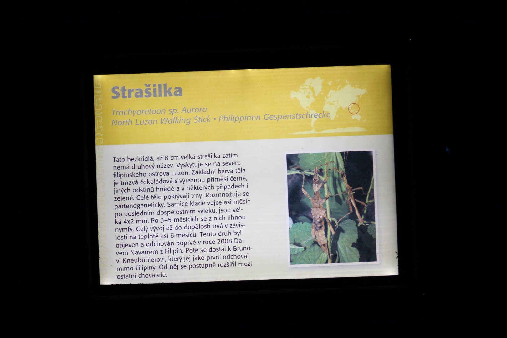 North Luzon Jungle Nymph Signage