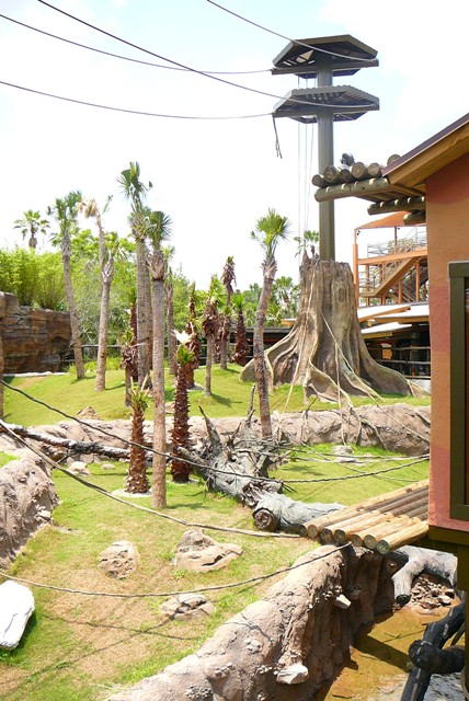 North Orangutan Habitat