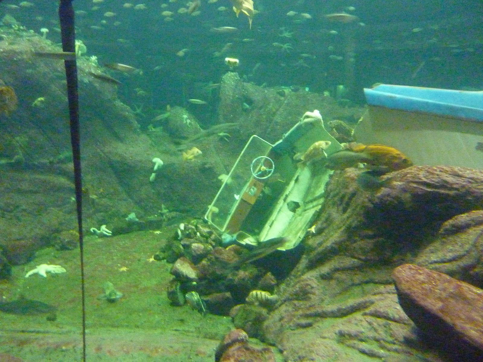 North Pacific Aquarium - 160,000 Gallon Tank