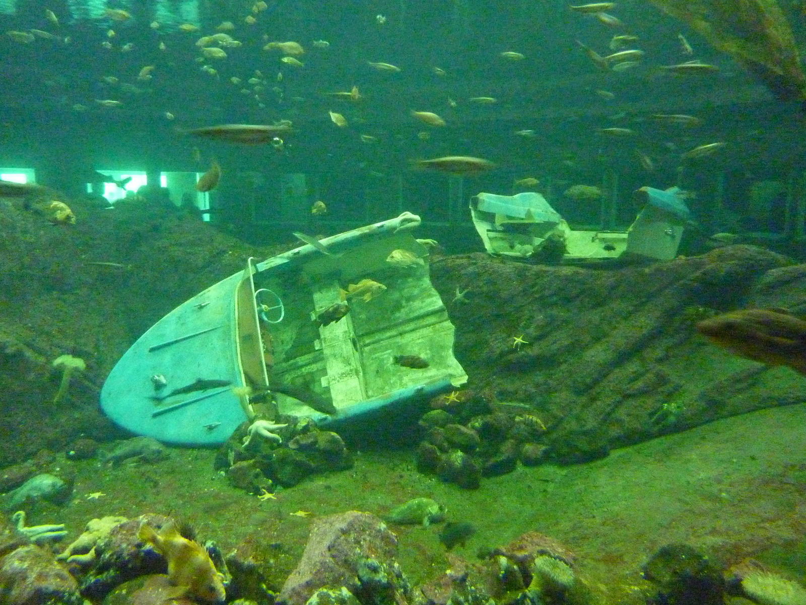 North Pacific Aquarium - 160,000 Gallon Tank