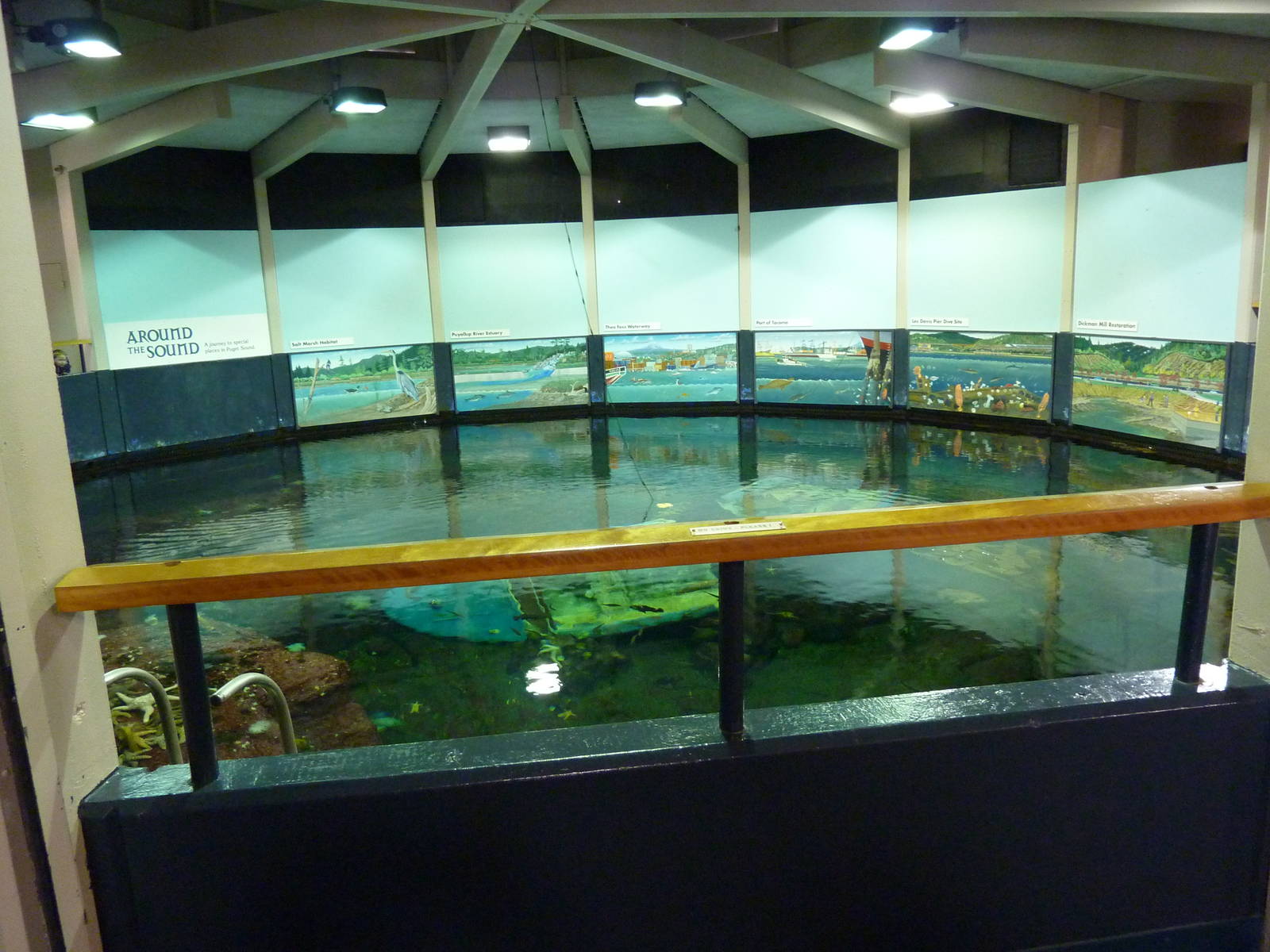 North Pacific Aquarium - 160,000 Gallon Tank