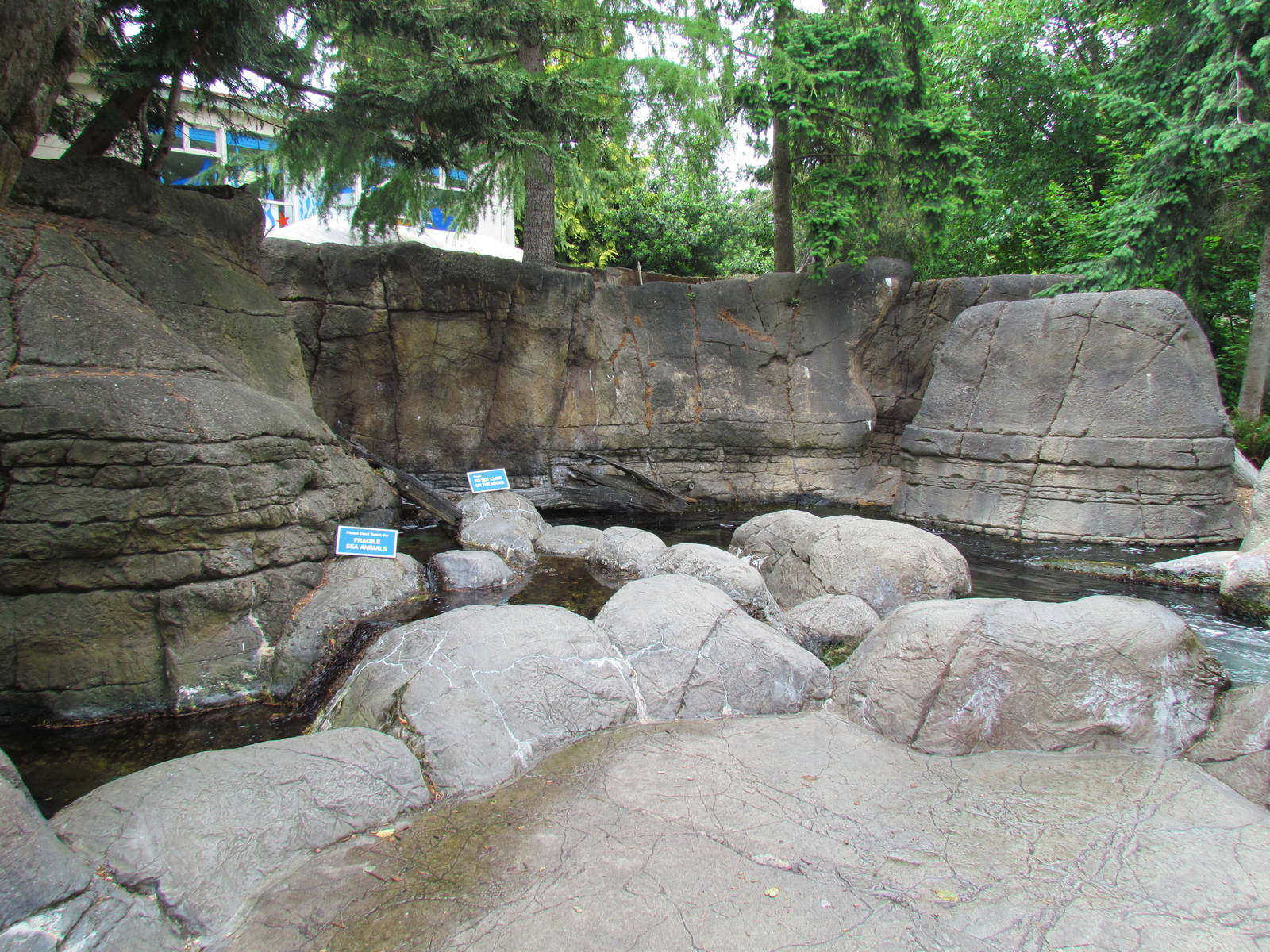 North Pacific Aquarium - Tidepool