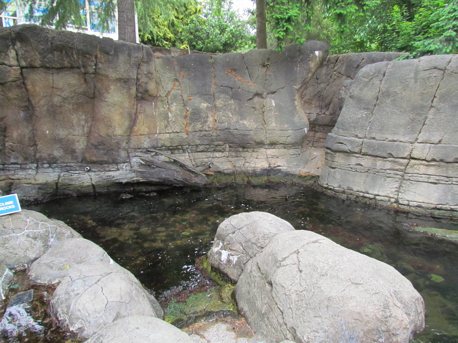 North Pacific Aquarium - Tidepool