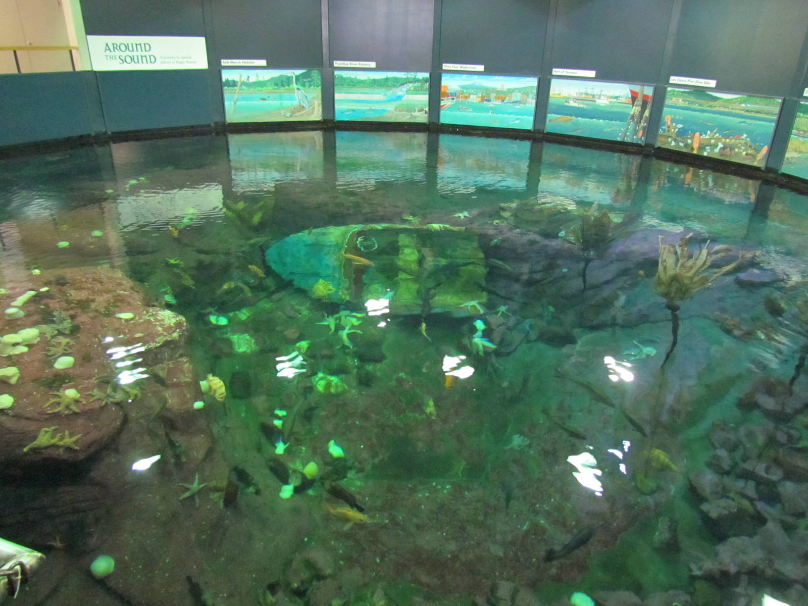 North Pacific Aquarium - Upper View