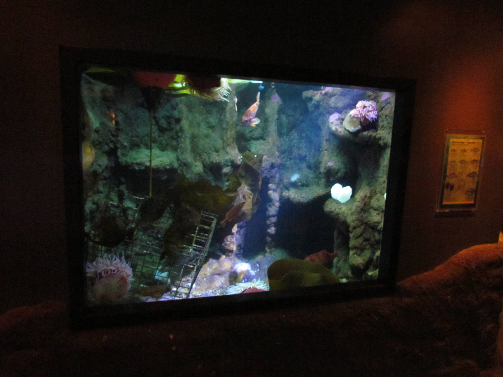 North Pacific Aquarium