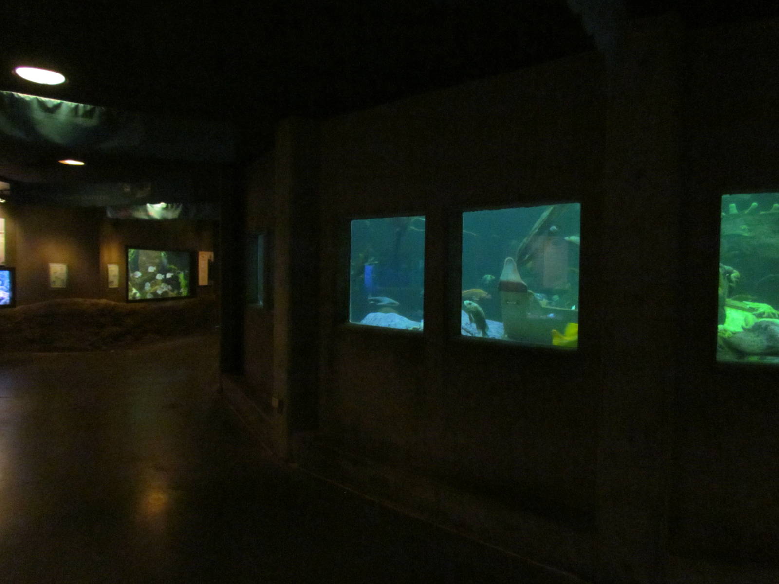 North Pacific Aquarium