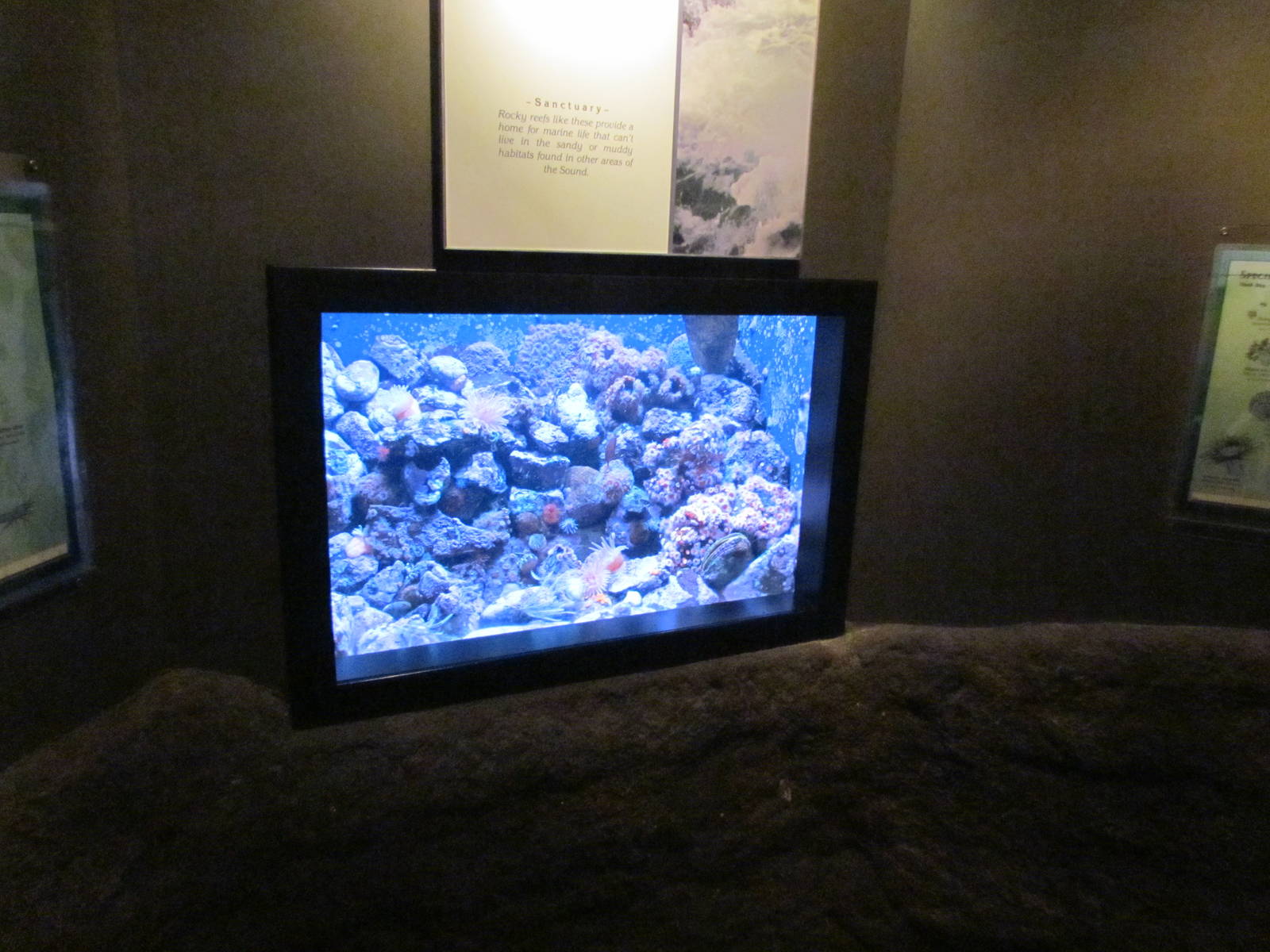 North Pacific Aquarium