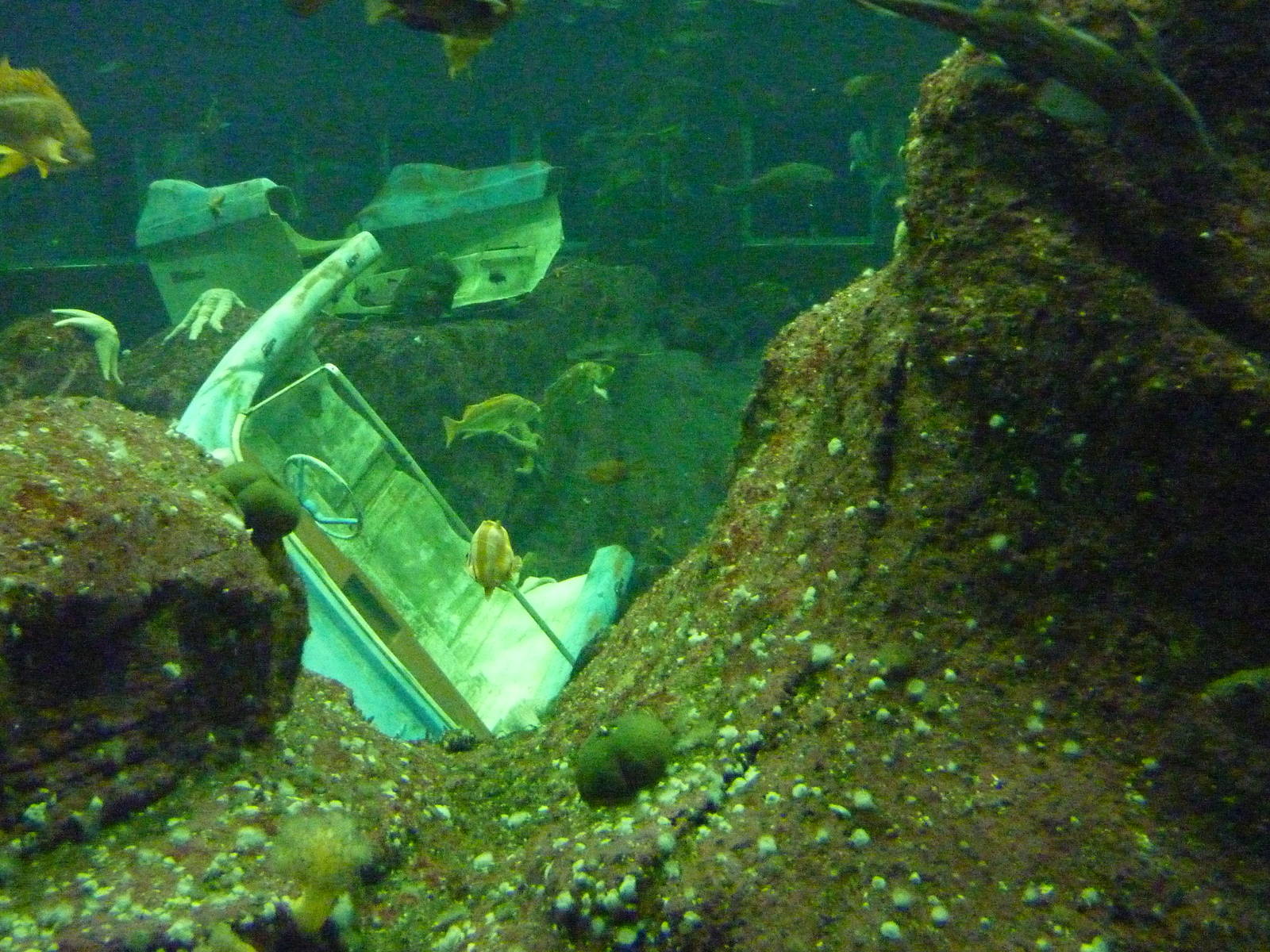 North Pacific Aquarium