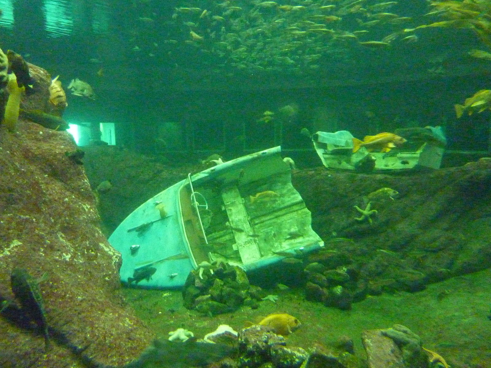 North Pacific Aquarium