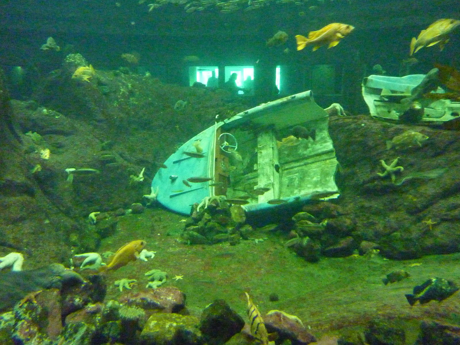 North Pacific Aquarium