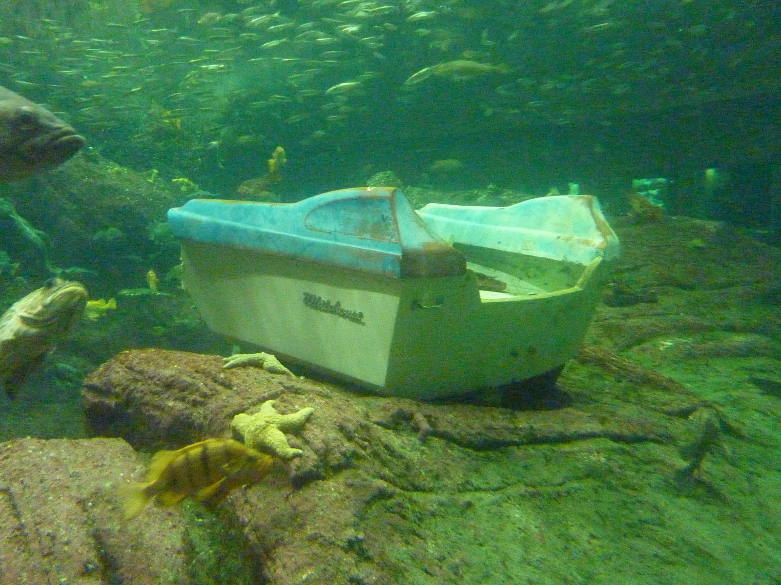 North Pacific Aquarium