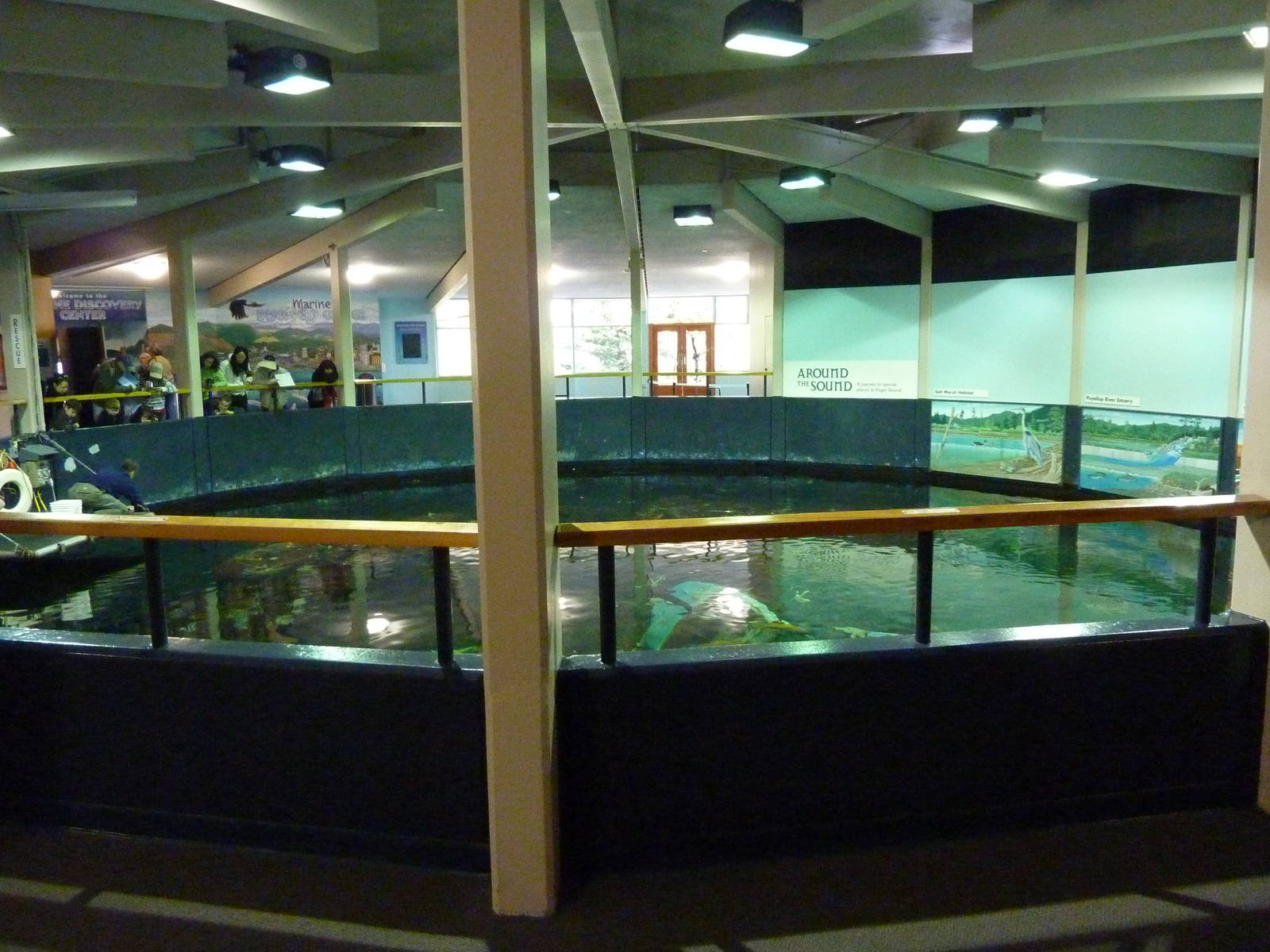 North Pacific Aquarium