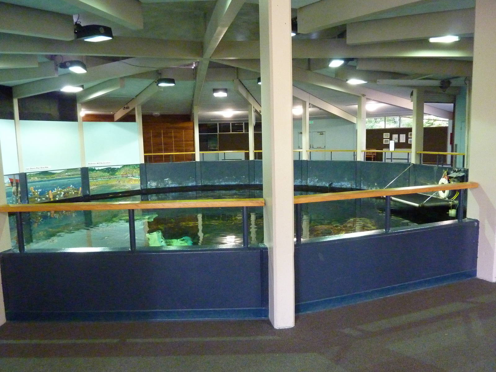 North Pacific Aquarium