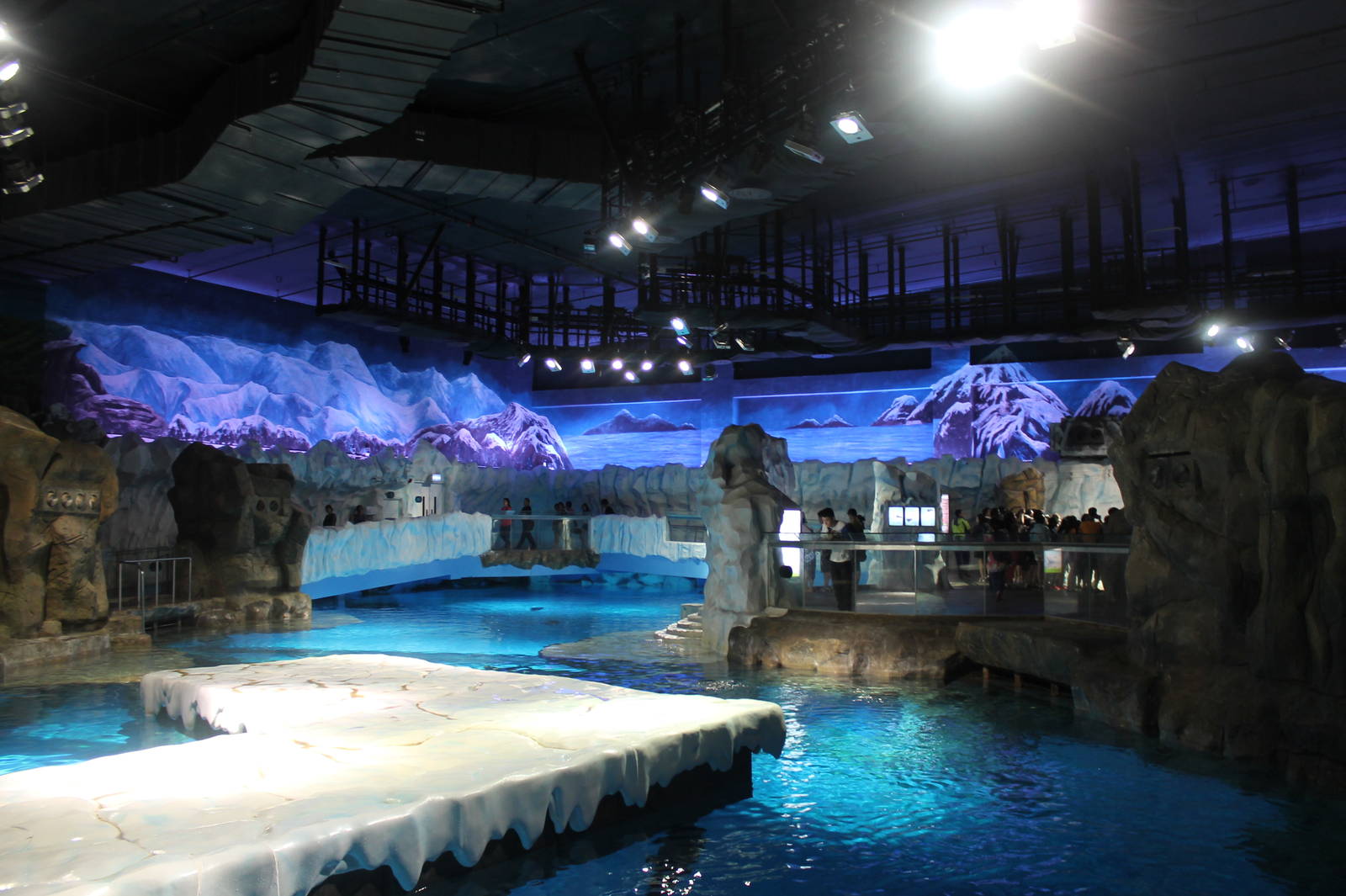 North Pole Exhibit - June 2013