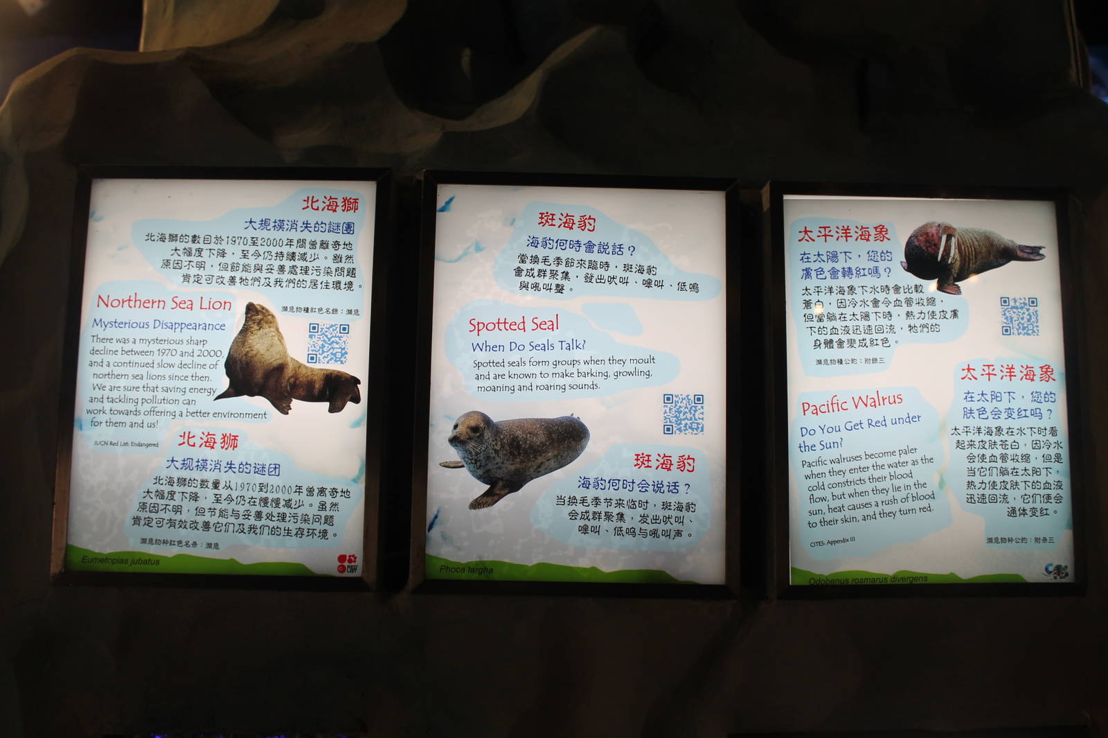 North Pole Signage - June 2013