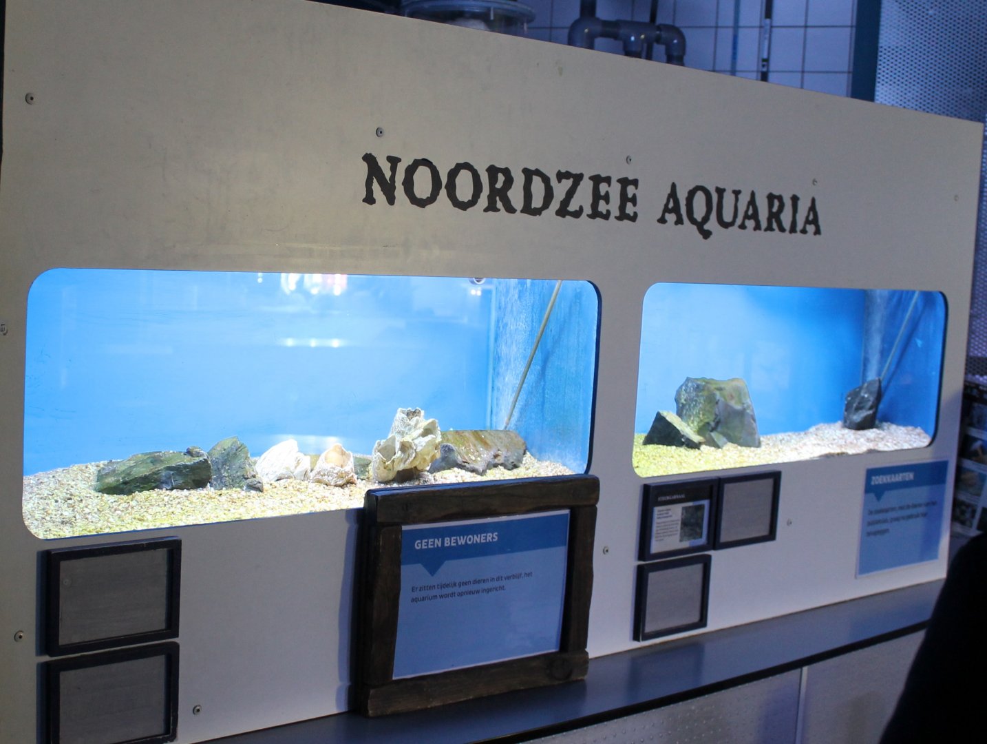 North-sea aquariums at the Marine Lab