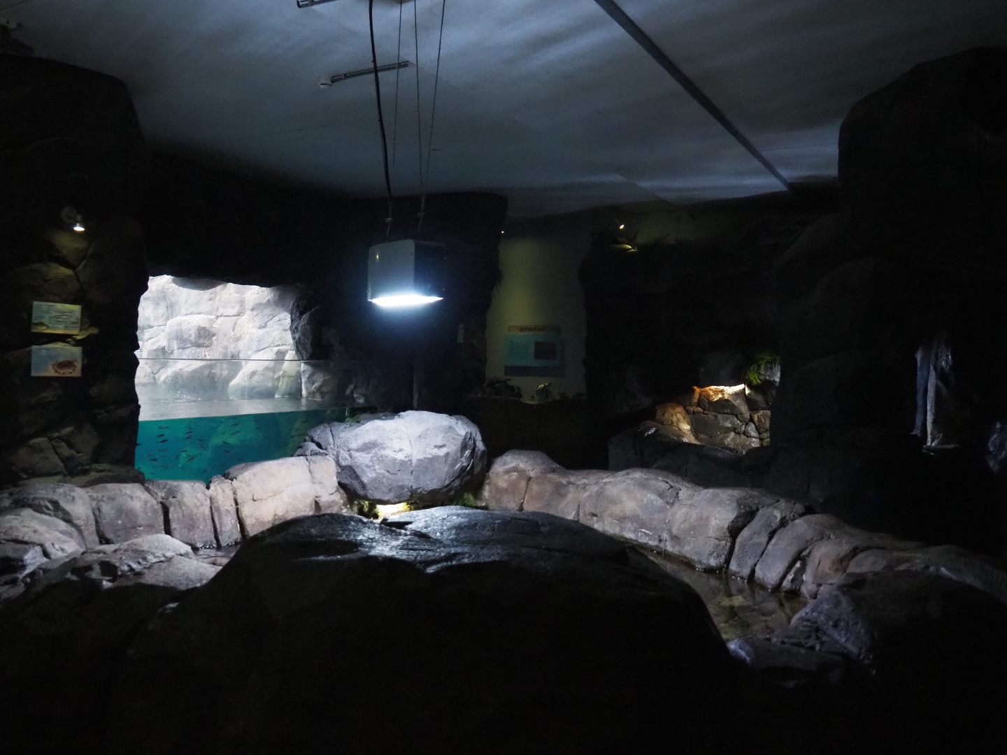 North Sea area in the Oceanium (Nov 10th, 2018)