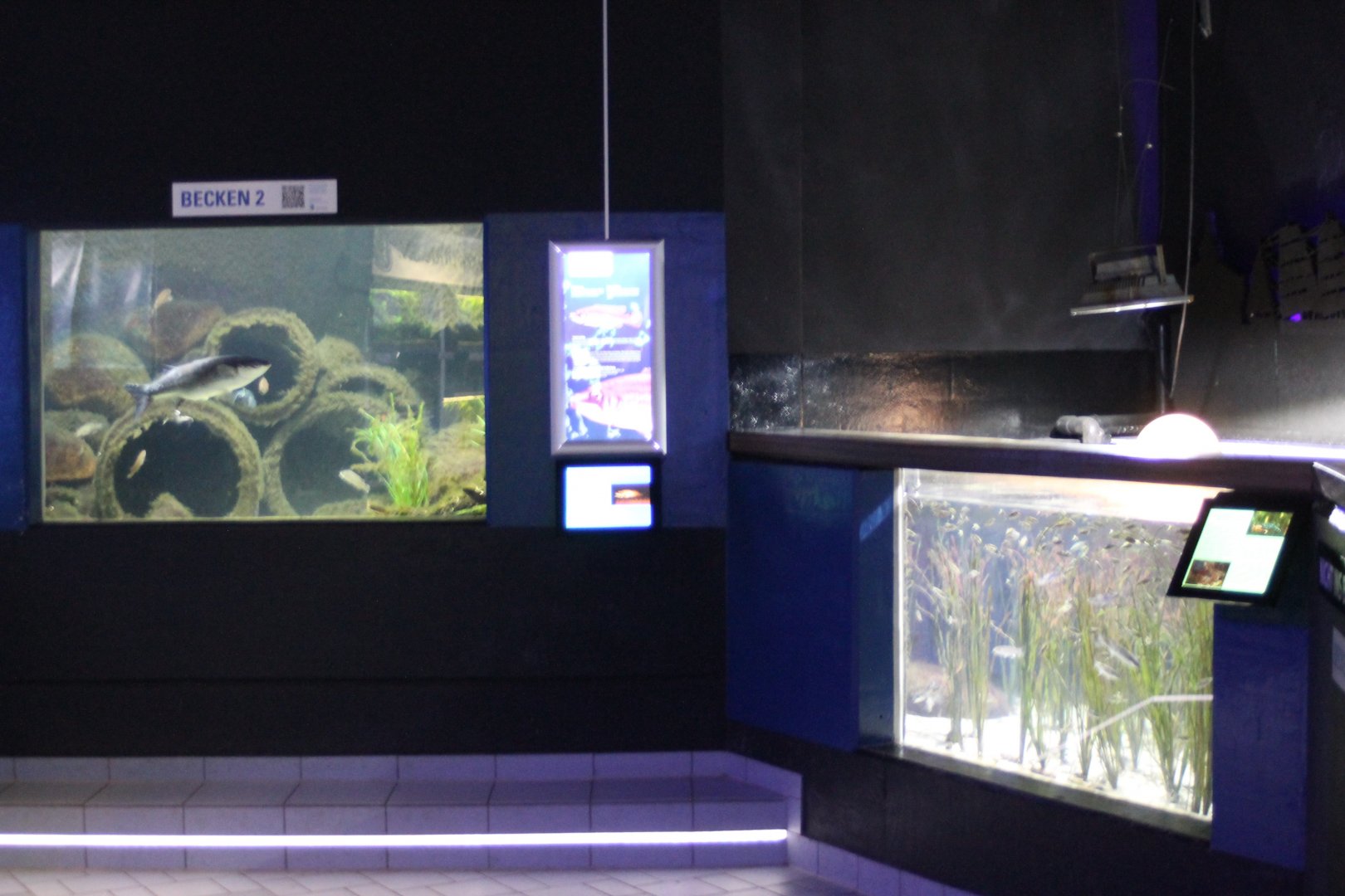 North Sea - Baltic Sea aquariums