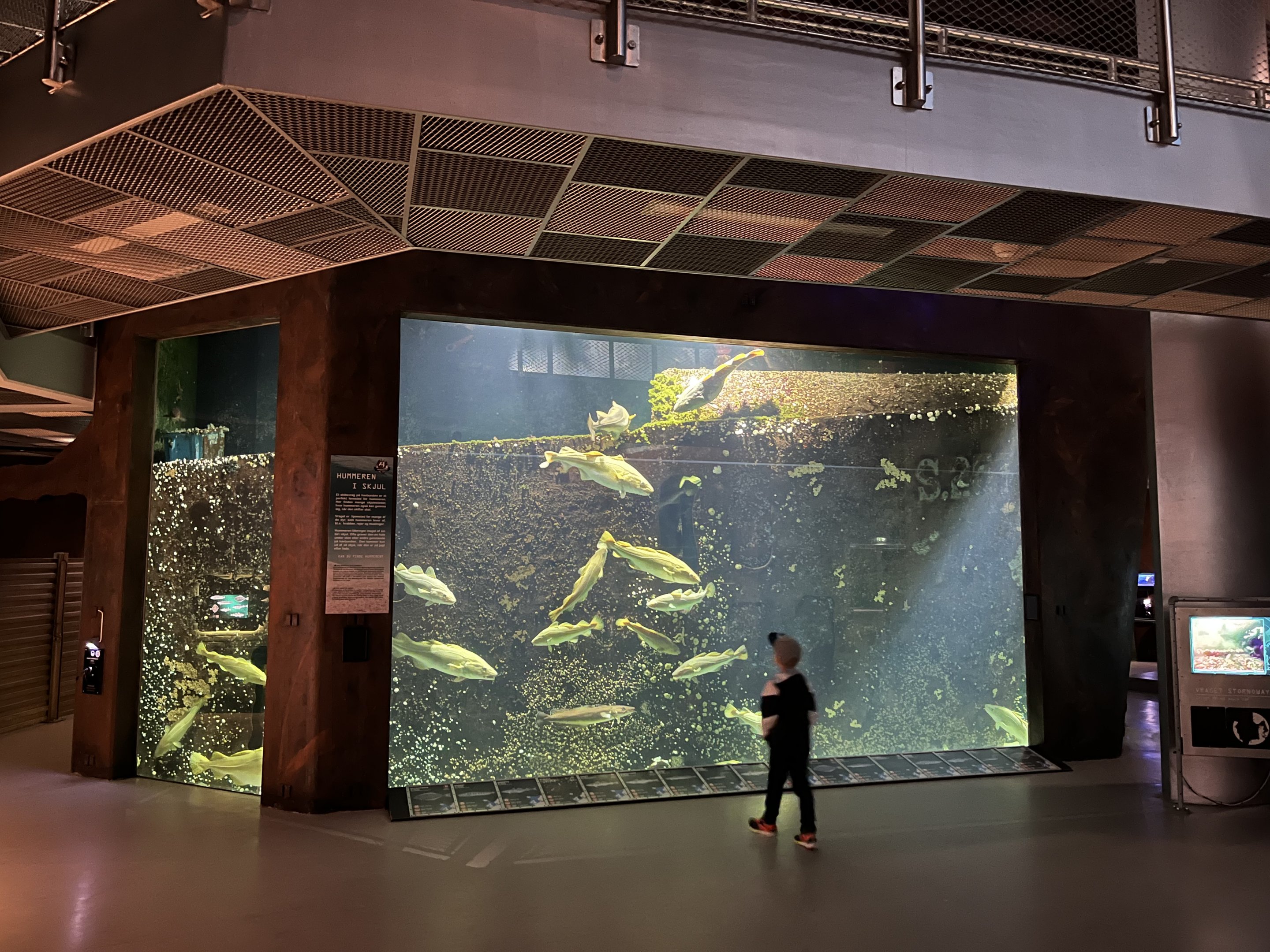 North Sea Exhibit
