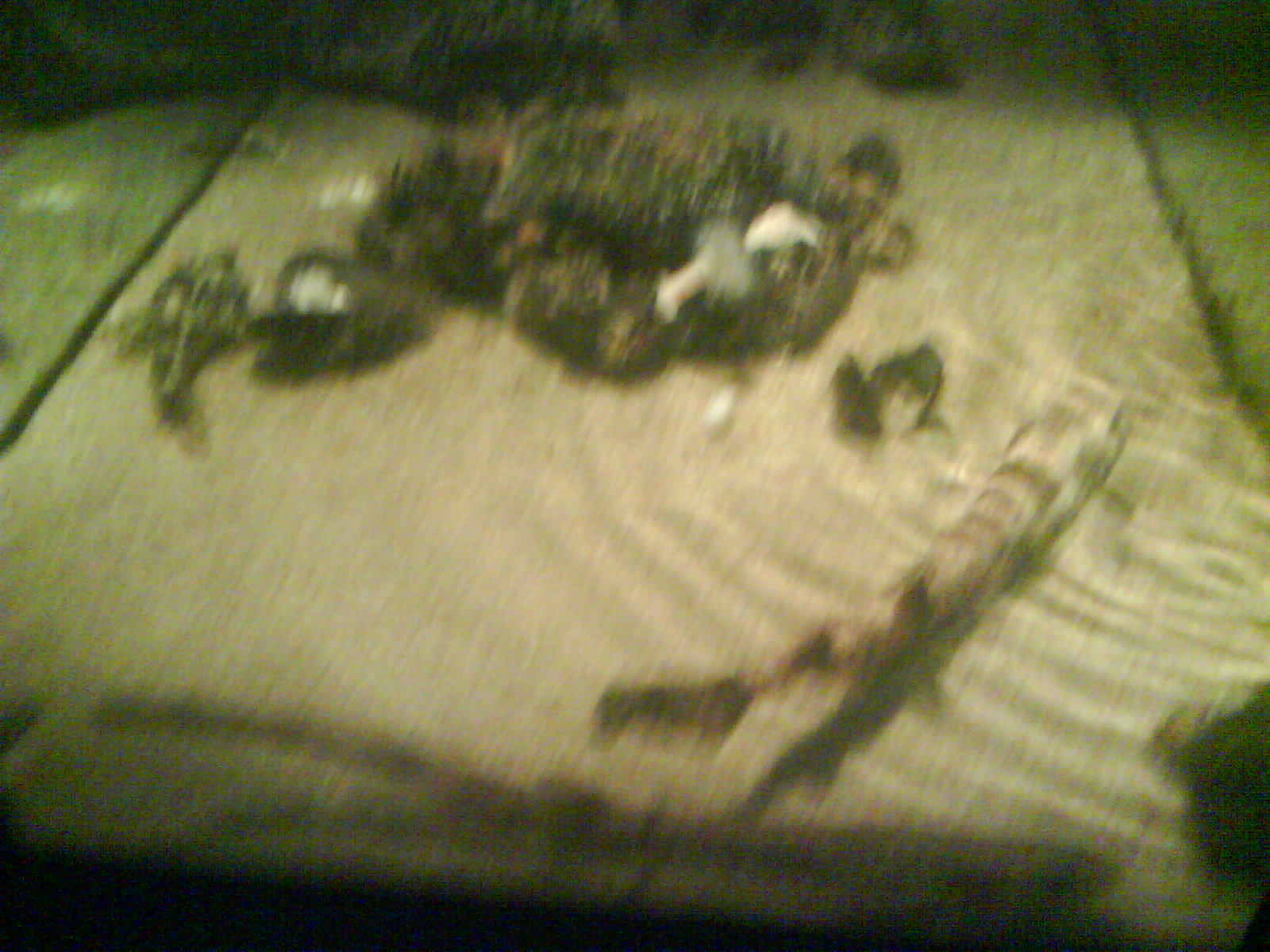 North Sea Oceanarium - Aquarium