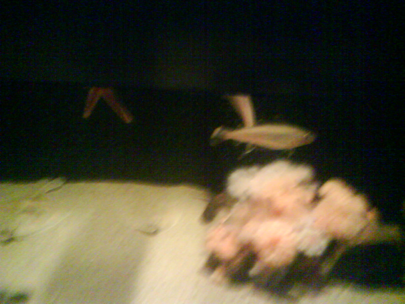 North Sea Oceanarium - Aquarium