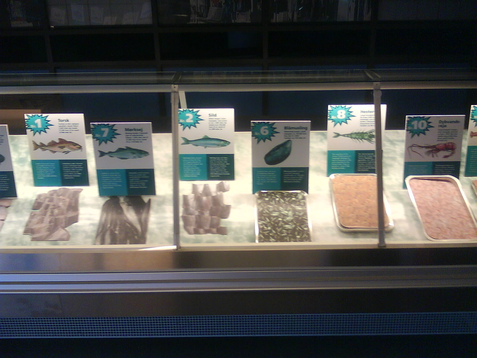 North Sea Oceanarium - Exhibition