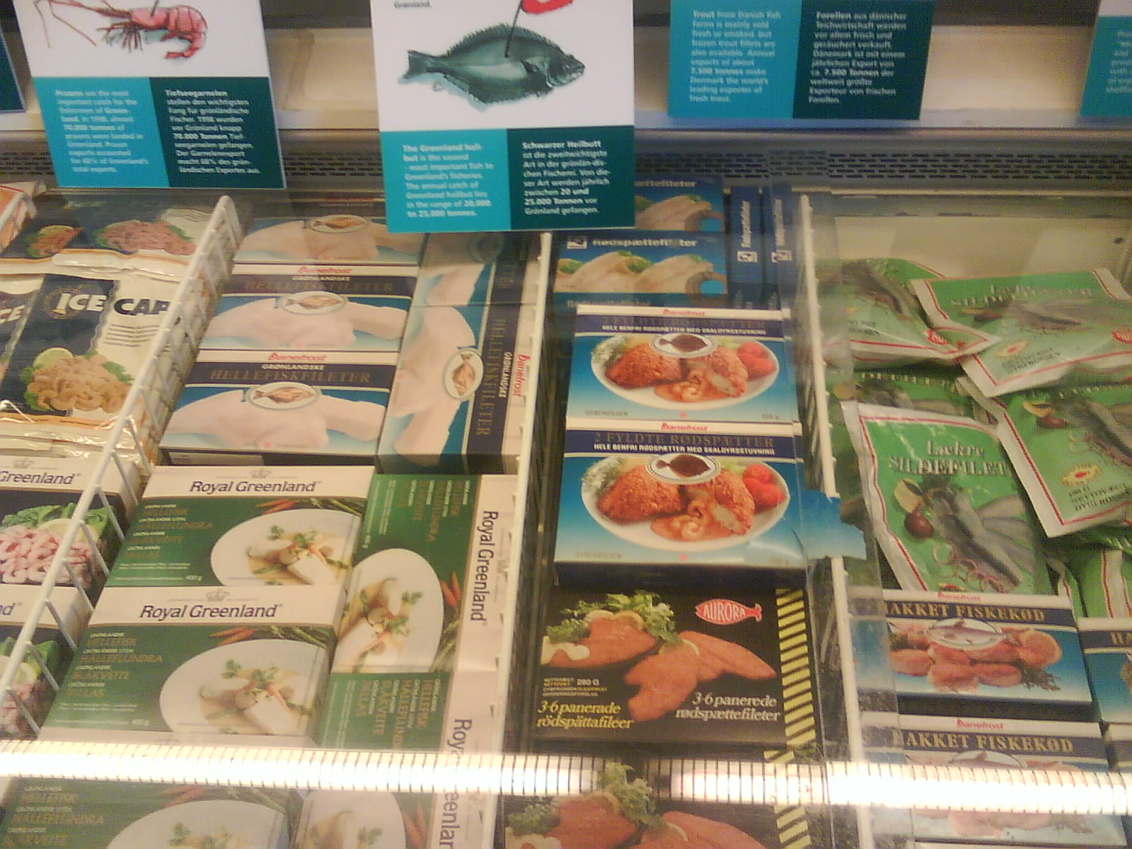 North Sea Oceanarium - Exhibition