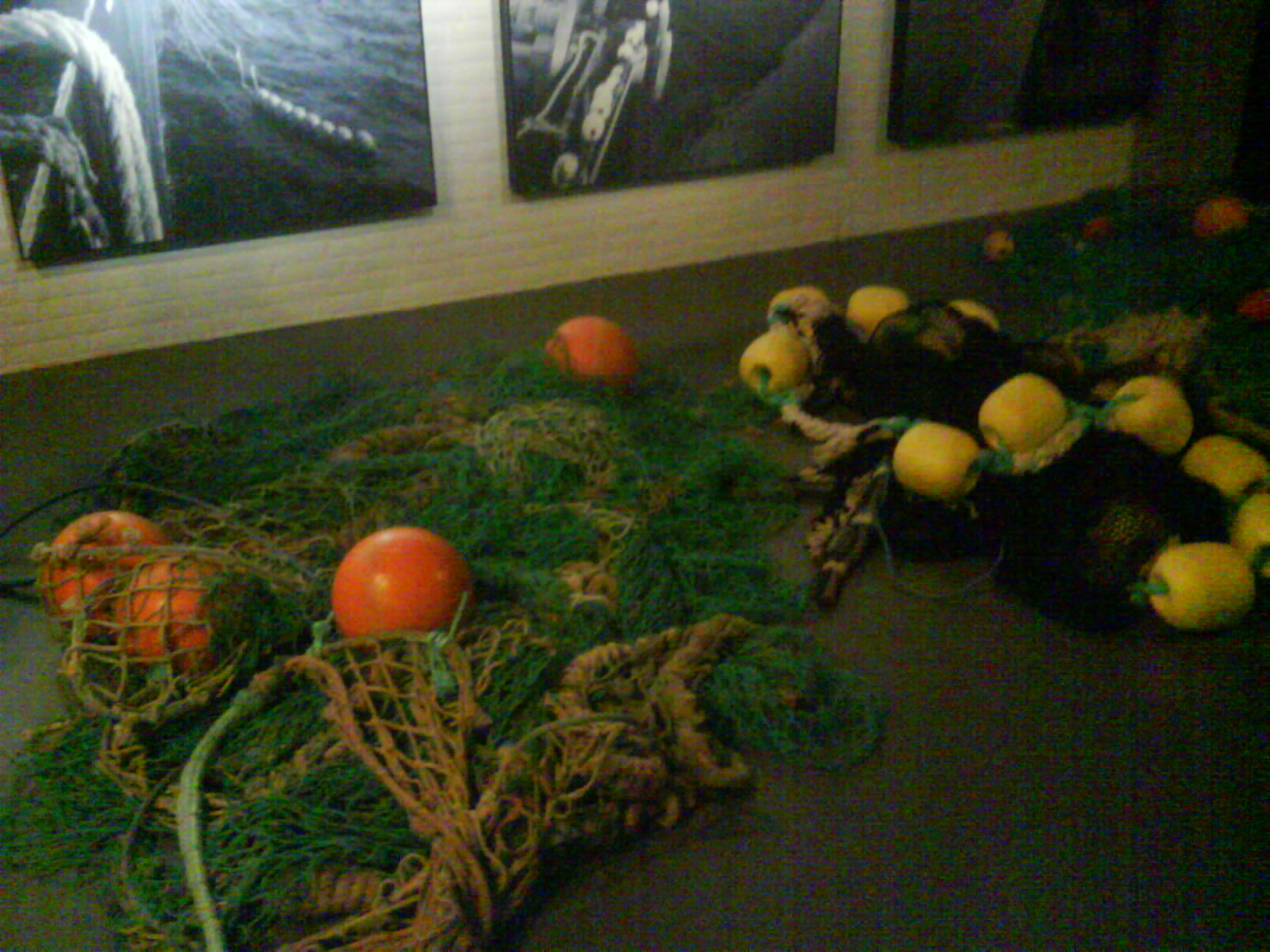 North Sea Oceanarium - Exhibition