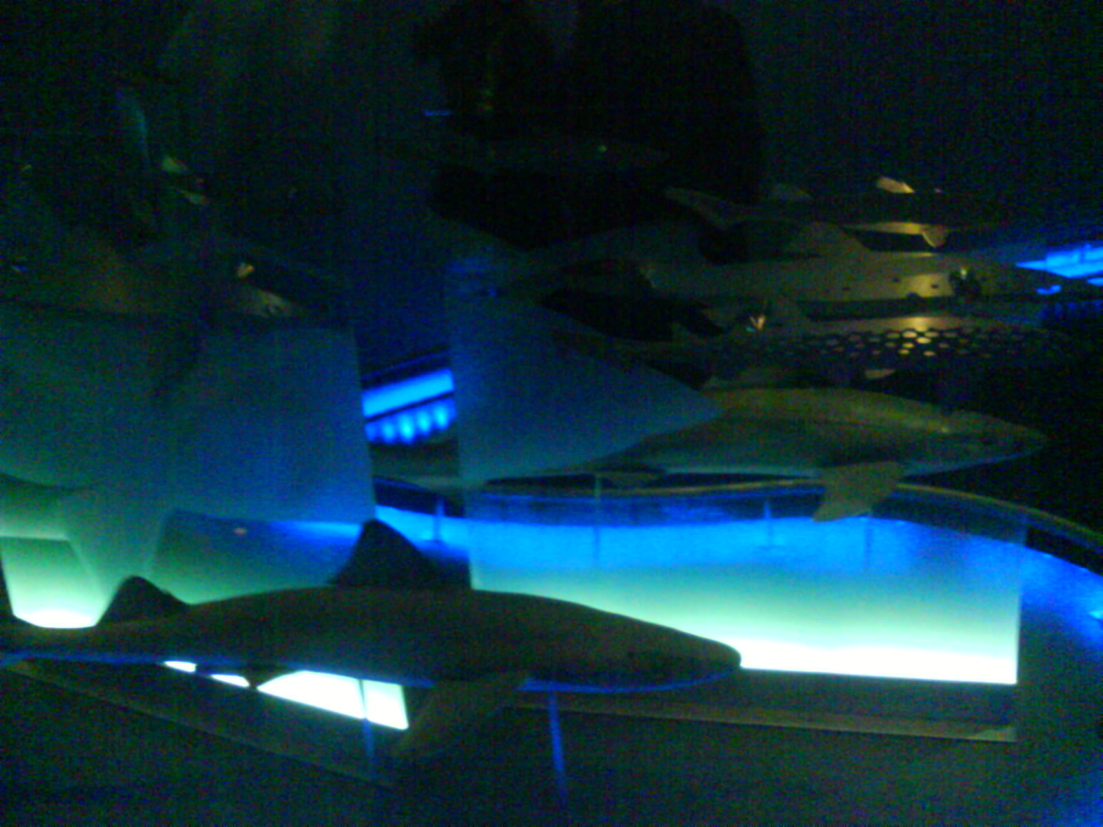 North Sea Oceanarium - Exhibition