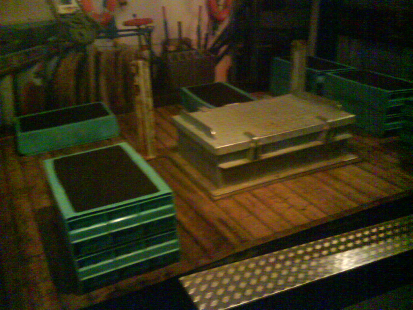 North Sea Oceanarium - Exhibiton