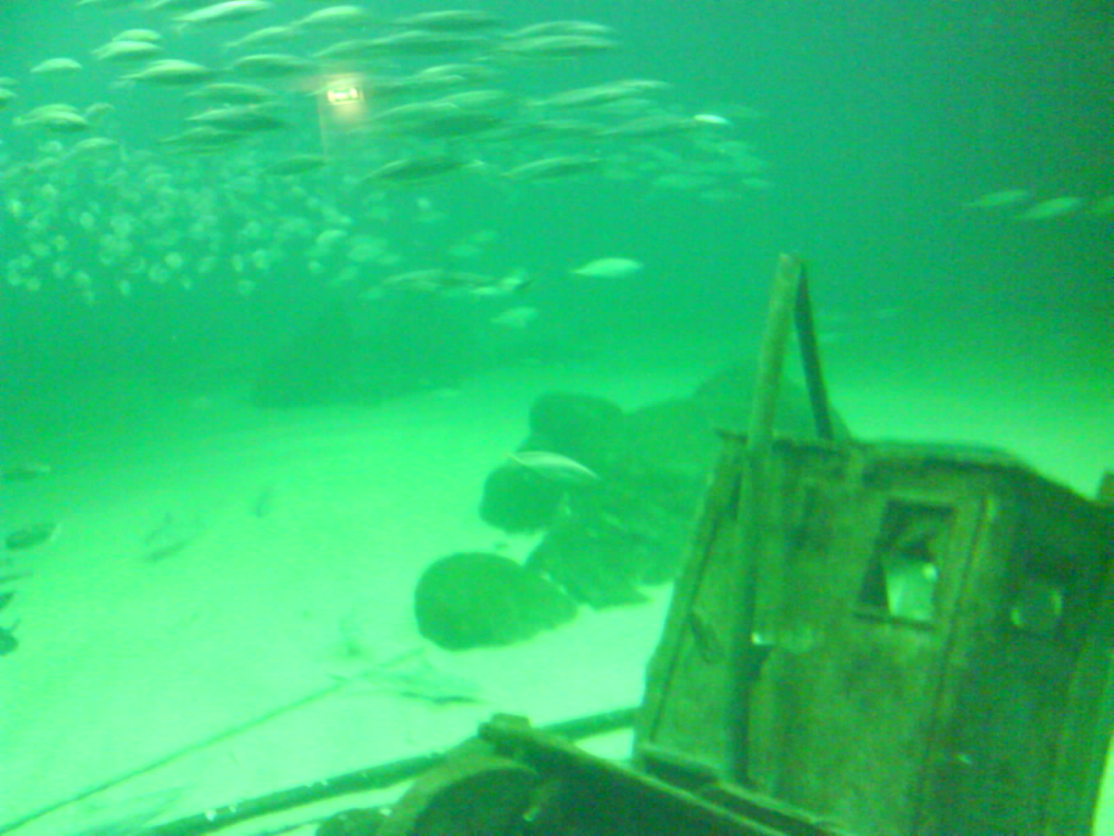 North Sea Oceanarium - Oceanarium