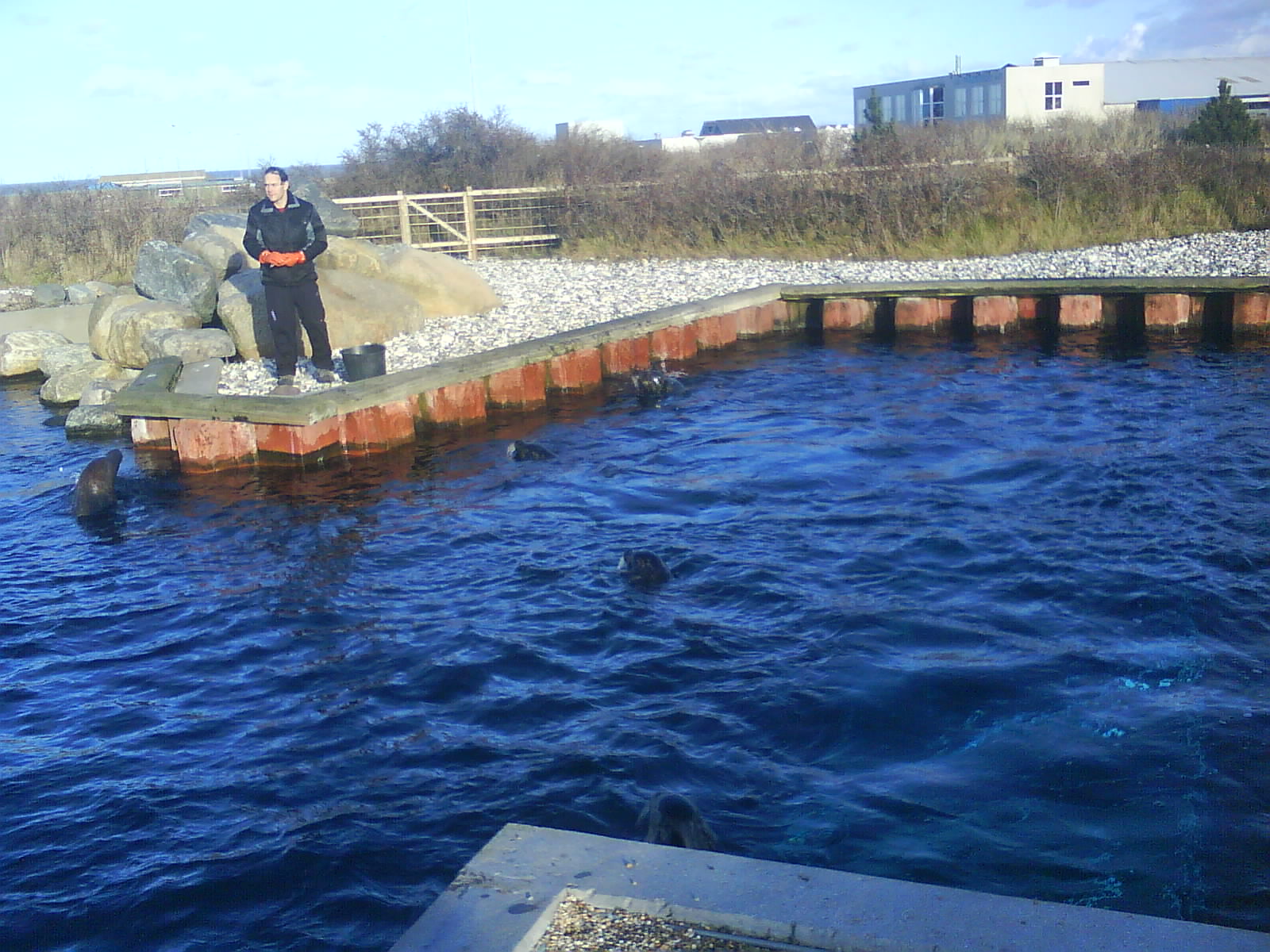 North Sea Oceanarium - Sealarium