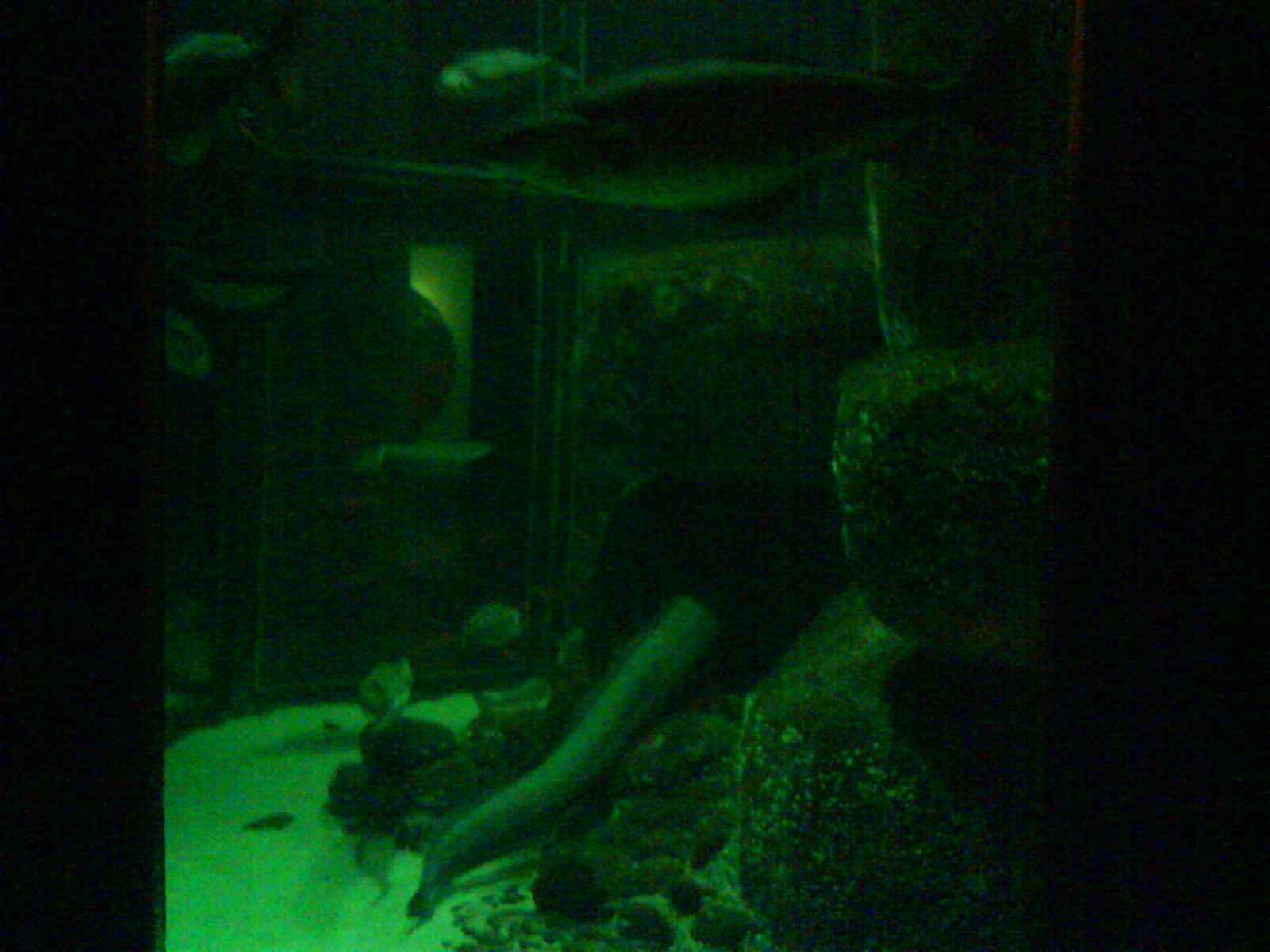 North Sea Oceanarium