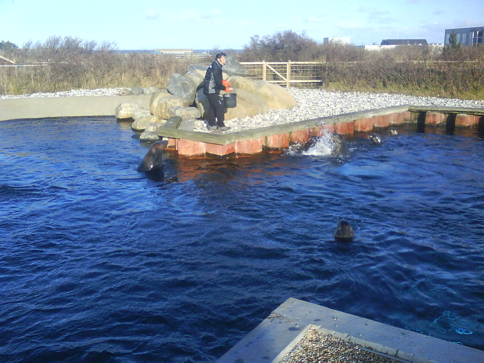 North Sea Oceanarium