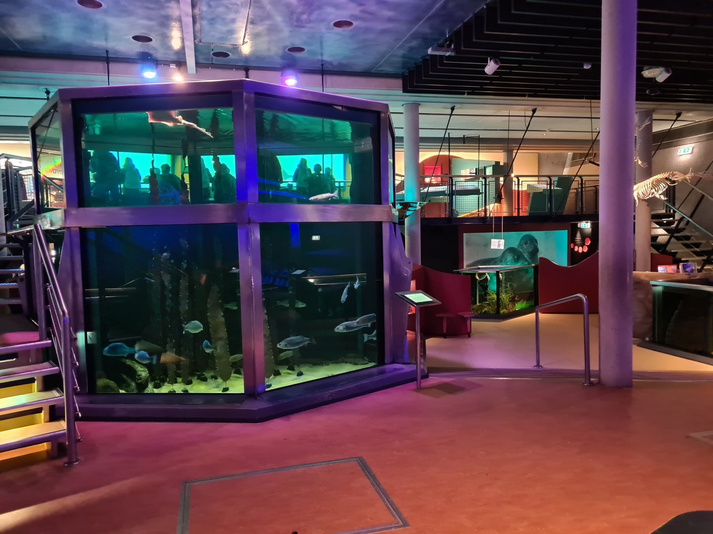 North Sea tank and general view