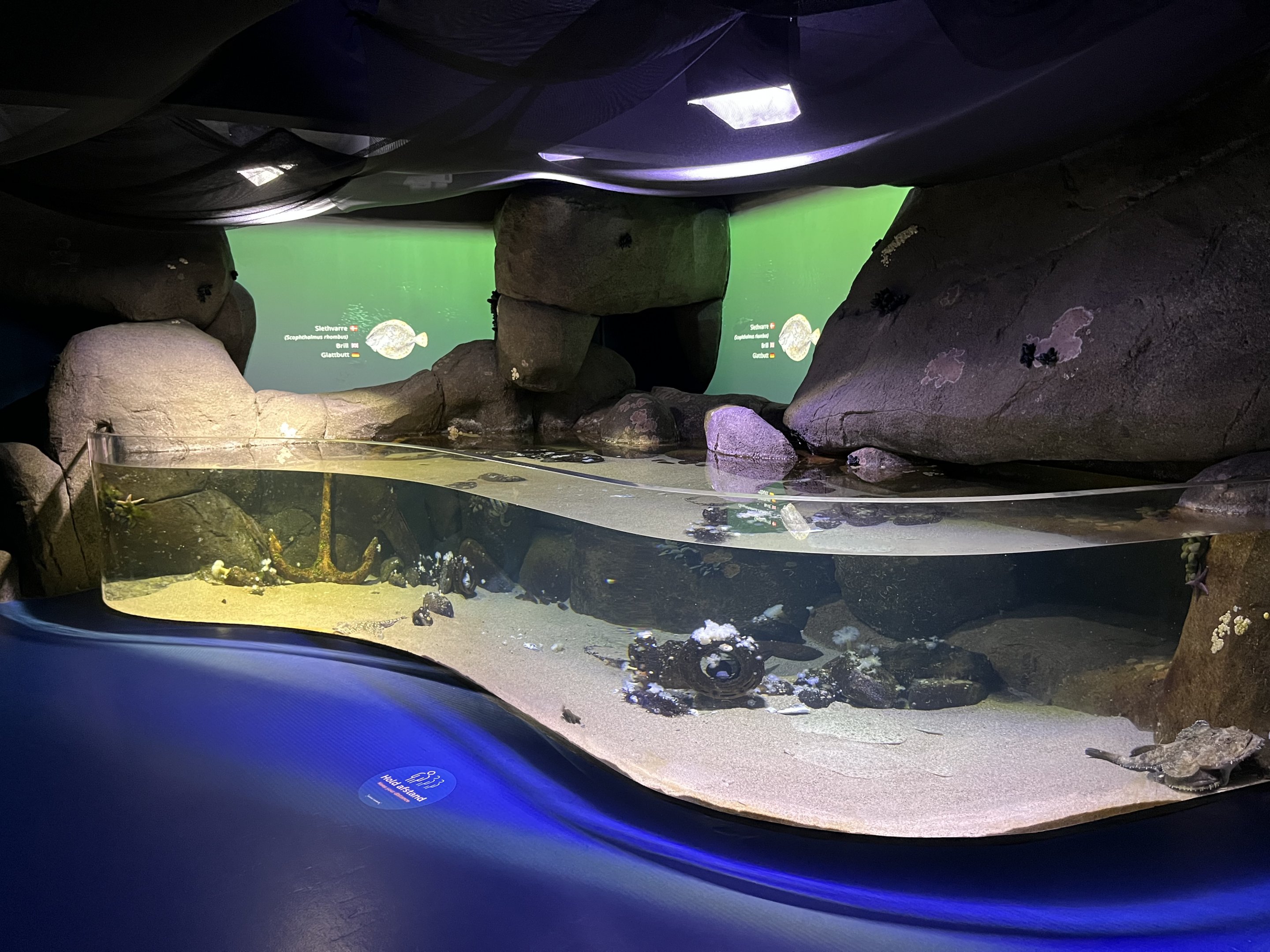 North Sea Tank