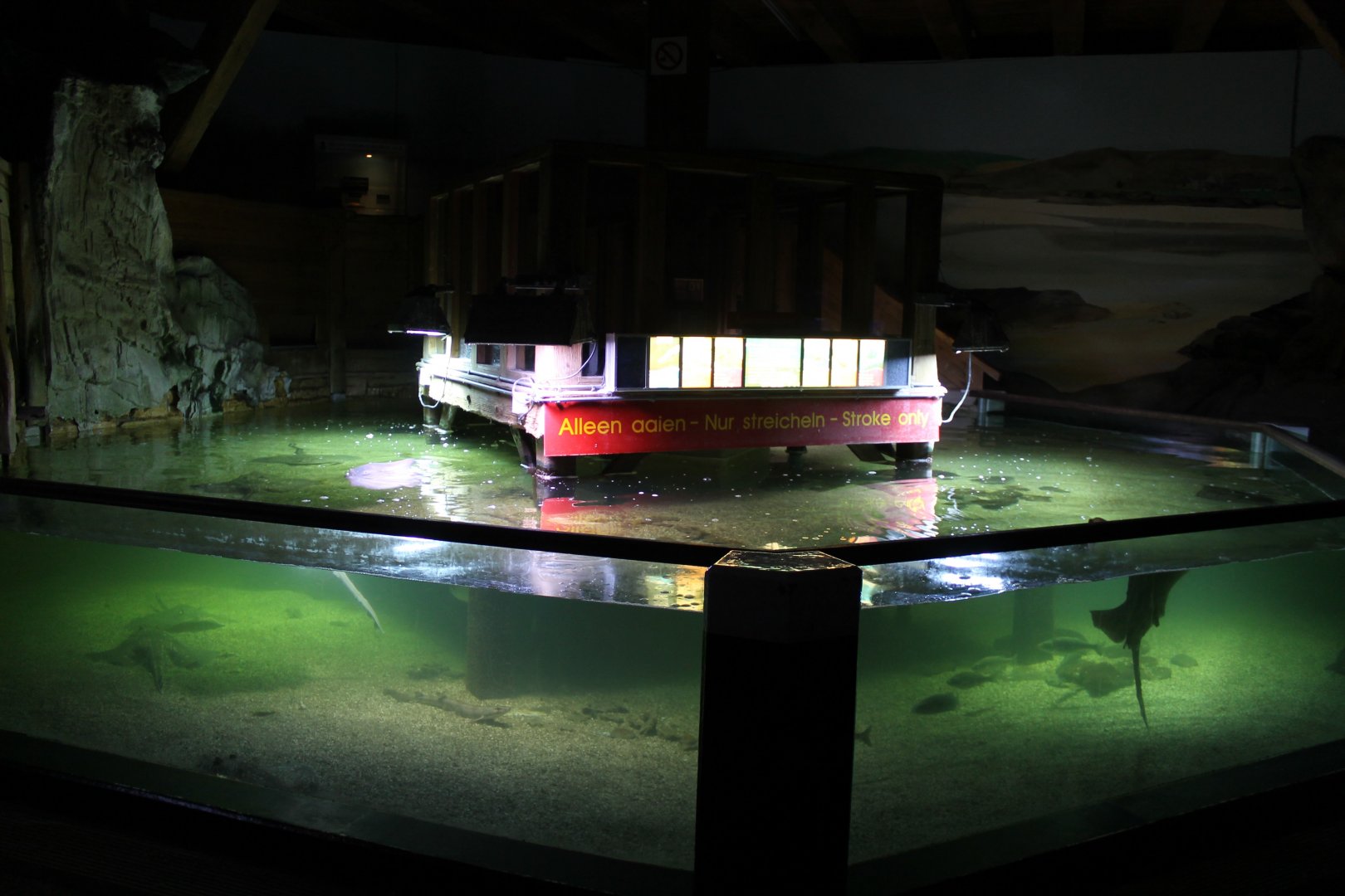 North Sea - touch pool