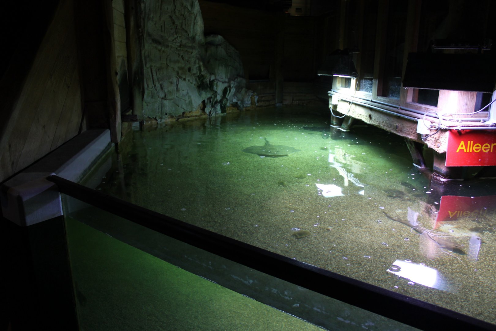 North Sea toutch-pool