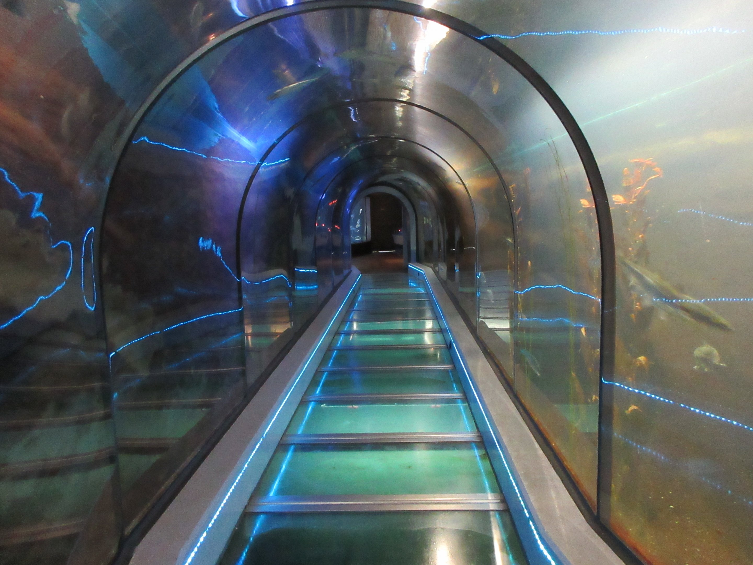 North Sea Tunnel Tank