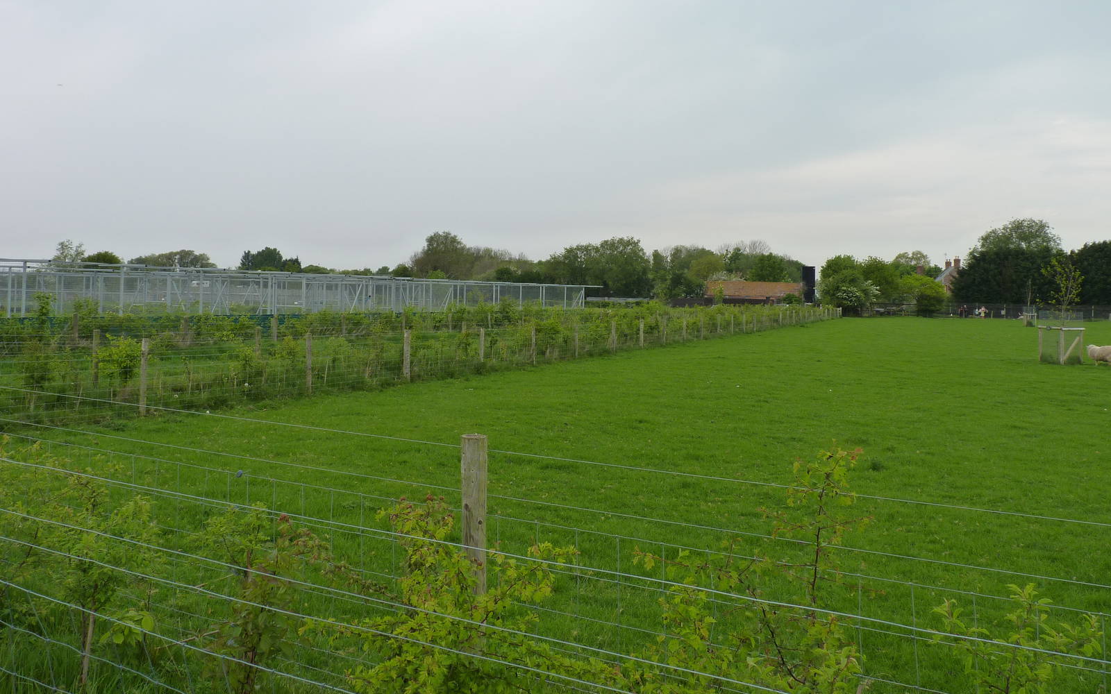 North View of Secret World Wildlife Rescue