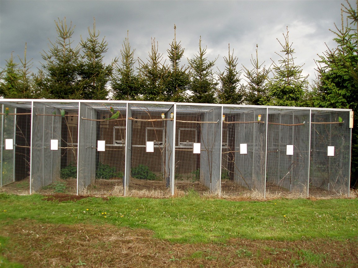 North Zealand Birdpark - Aviaries